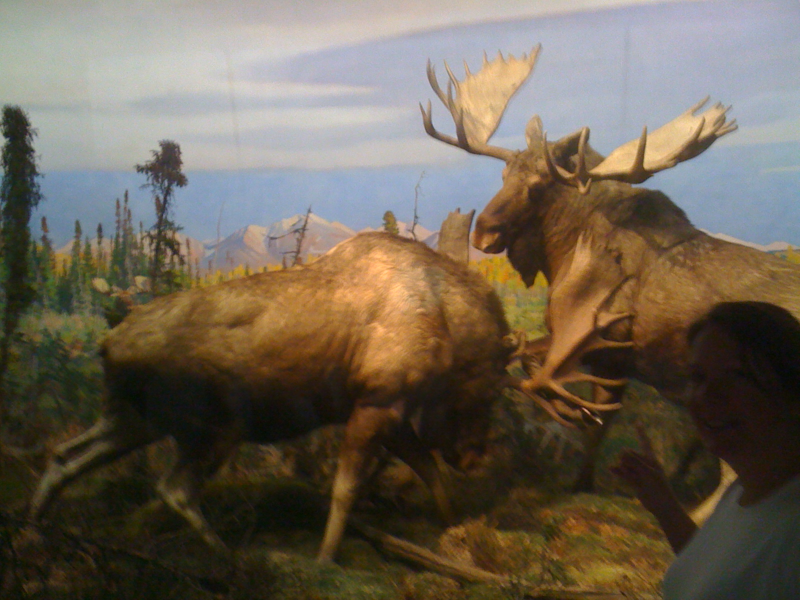 PicturesfromiPhoneChinaParisPrinceton 035