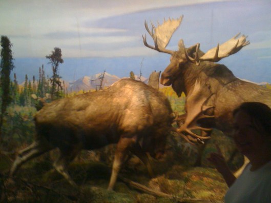 PicturesfromiPhoneChinaParisPrinceton 035