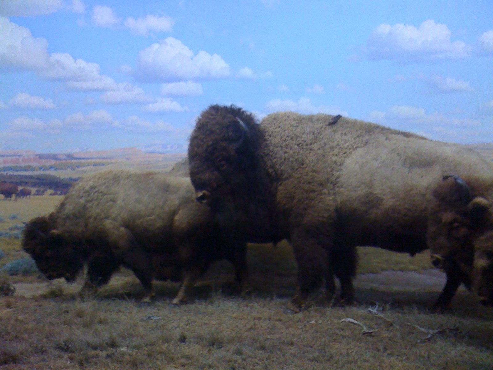 PicturesfromiPhoneChinaParisPrinceton 126