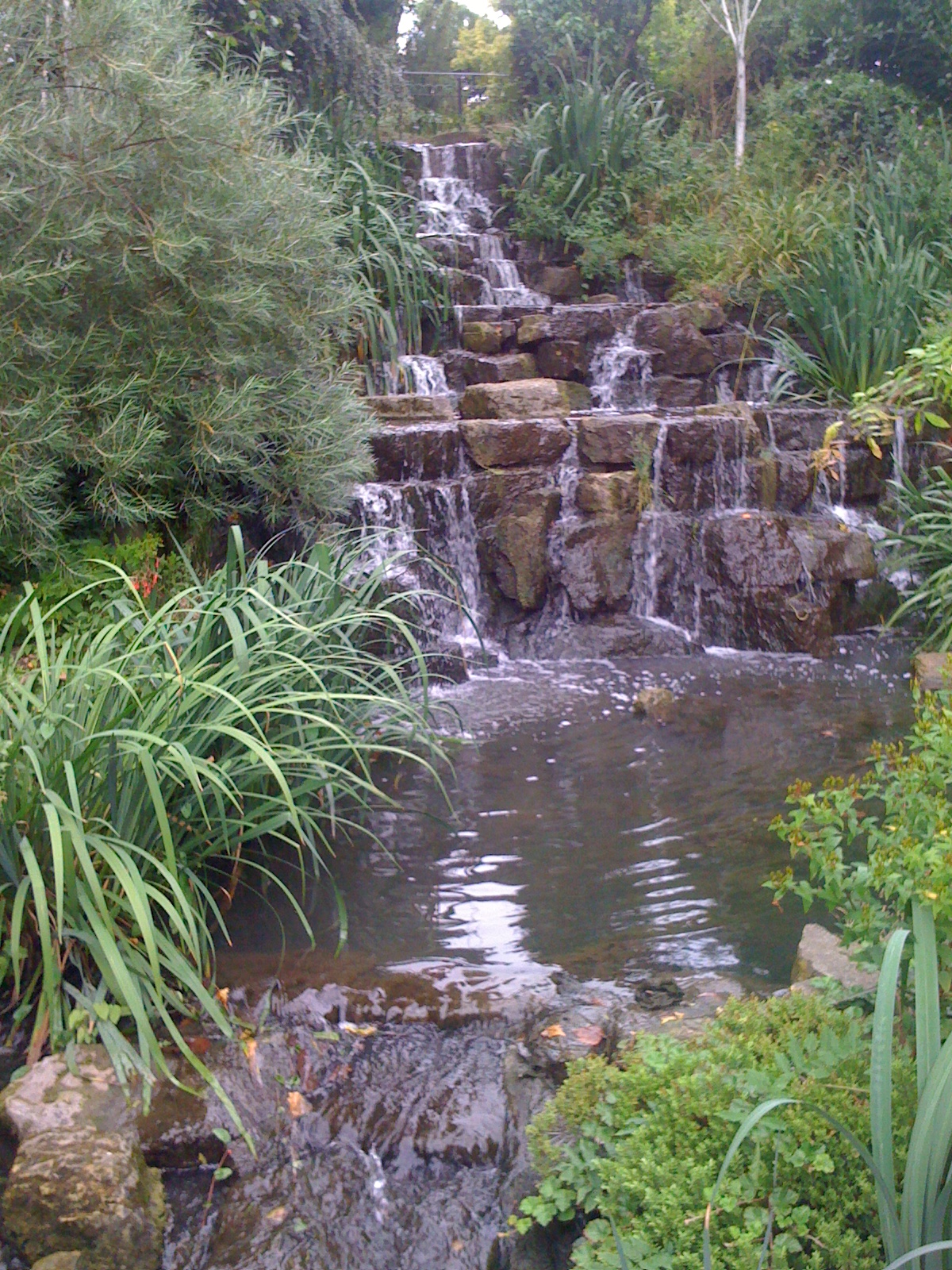 iPhoneDownloadJan152013 778