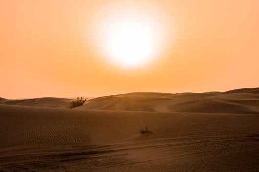 desert under yellow sunset