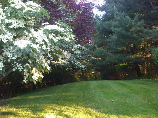 PicturesfromiPhonerotated 223