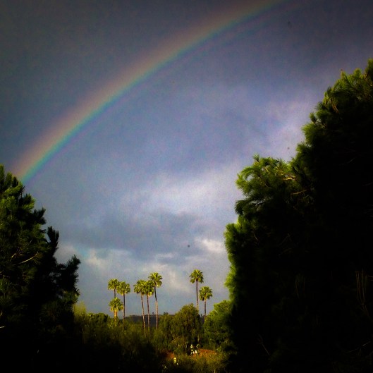 99D855EC-2561-4089-BEFF-2007DCB37817