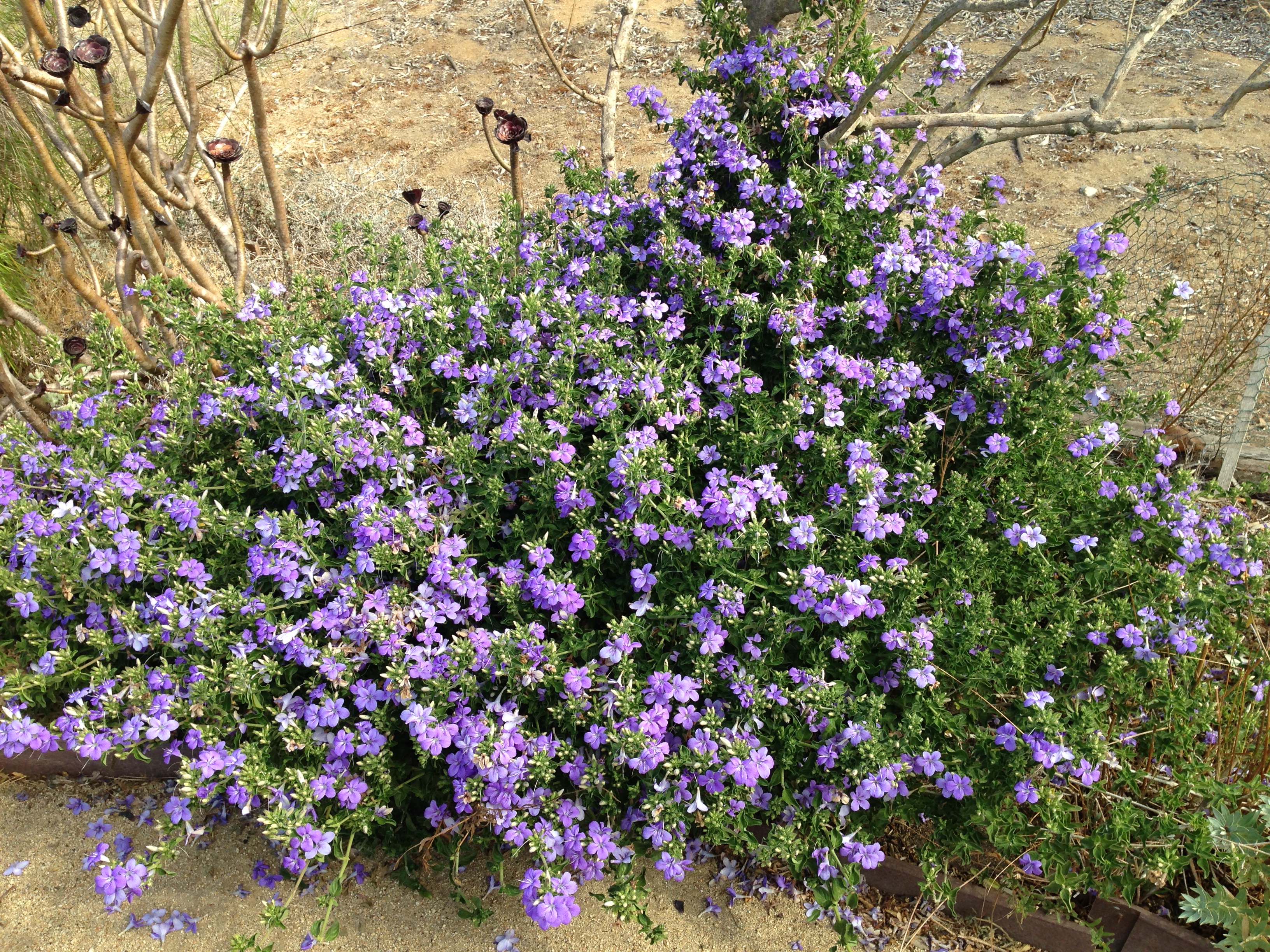 056BD29E-E861-48E9-8B5D-90FCB85CE516