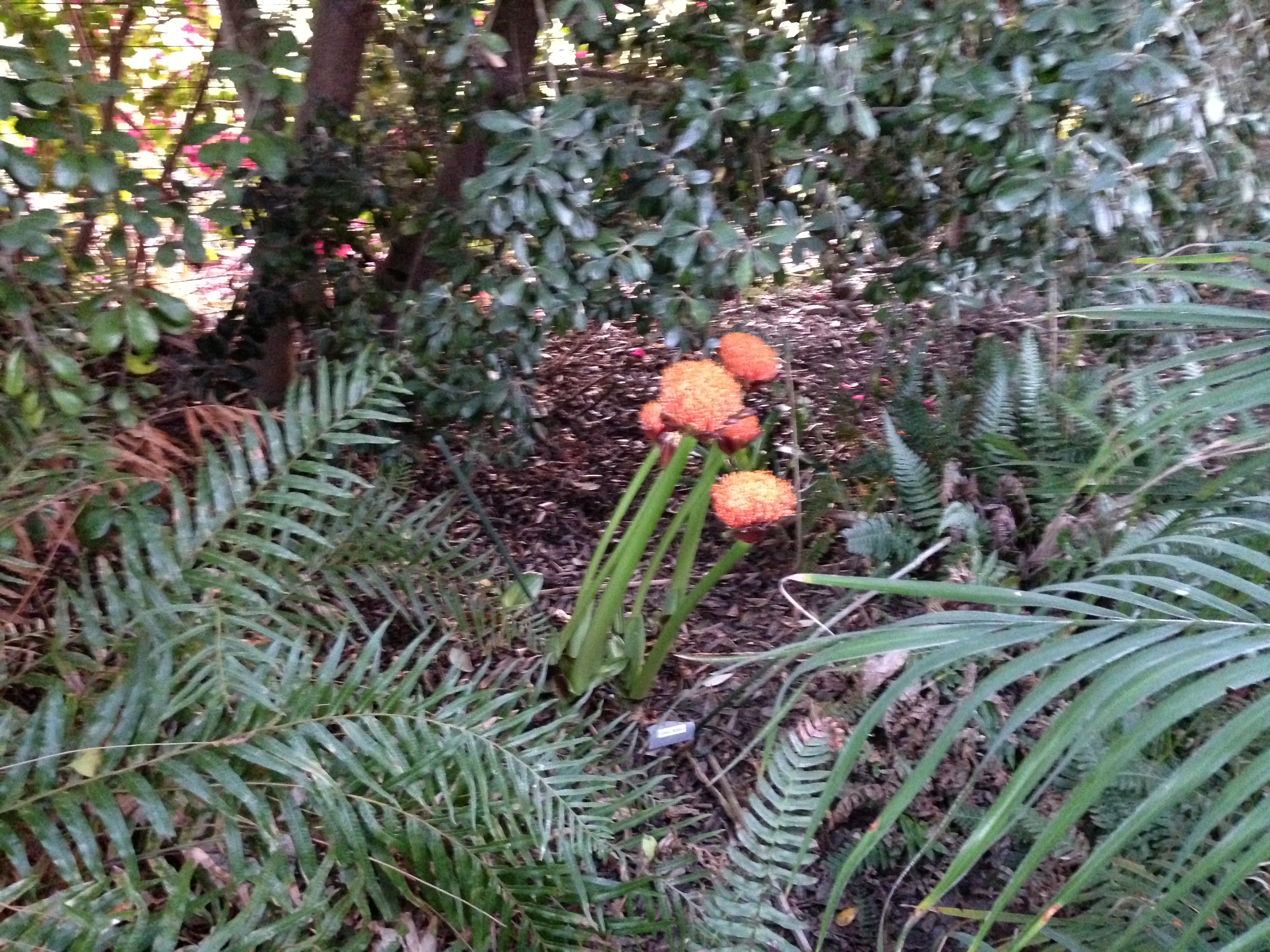 0F355D8E-32D5-49DA-9364-24716E93834C