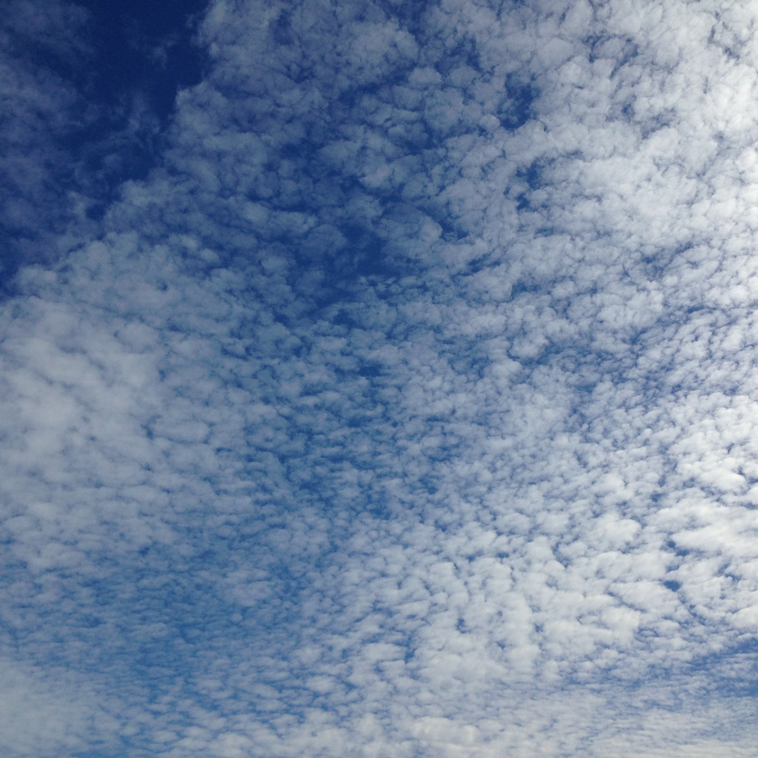 460D7AC1-E917-4595-B123-47D30634AF03