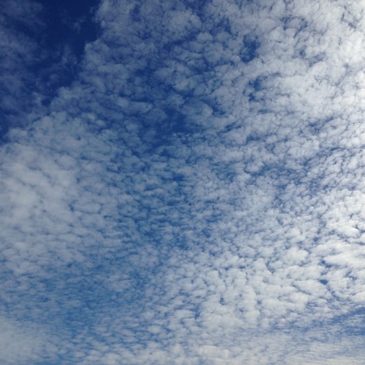 460D7AC1-E917-4595-B123-47D30634AF03