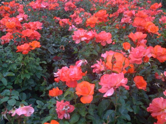 4A1653A1-11F4-4260-B7DA-80AB1B7C0FA4