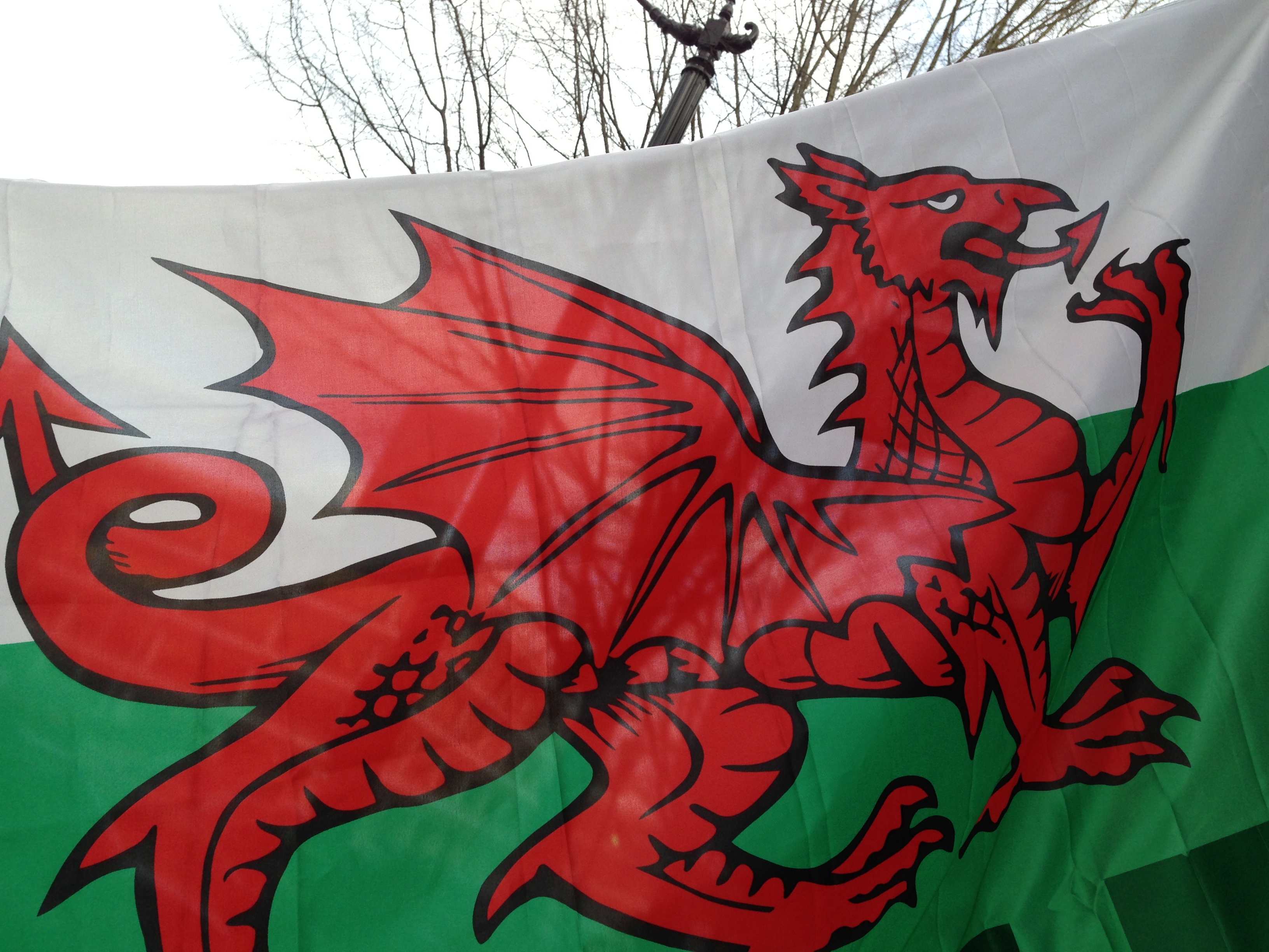 63EFE997-635F-4730-AB2D-377F9BB4CEAC