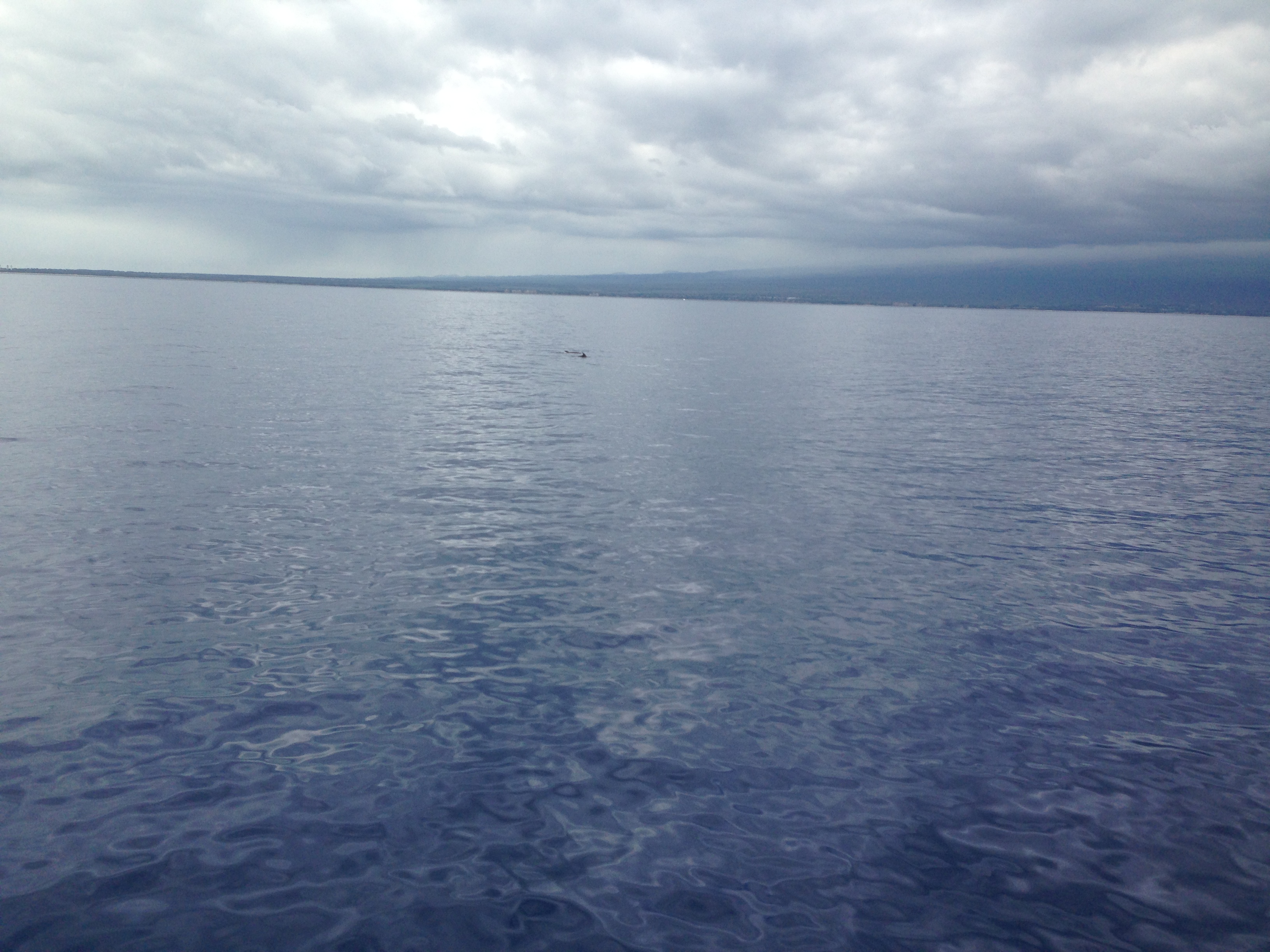 8BFD7A8D-4941-4CB4-A2EC-7F26A793797F