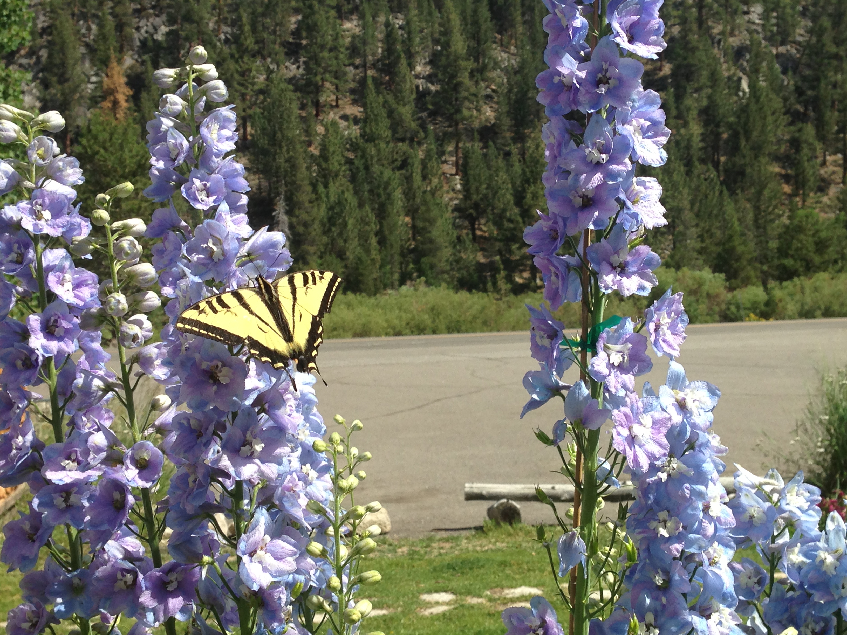 CA9A1991-77D0-4923-88F2-DEA84DB9454B