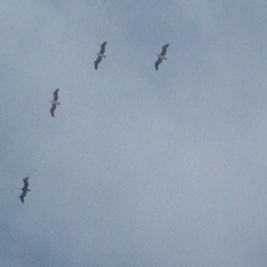 09280FF4-C3FC-45E4-927B-B1DD020CA3FC