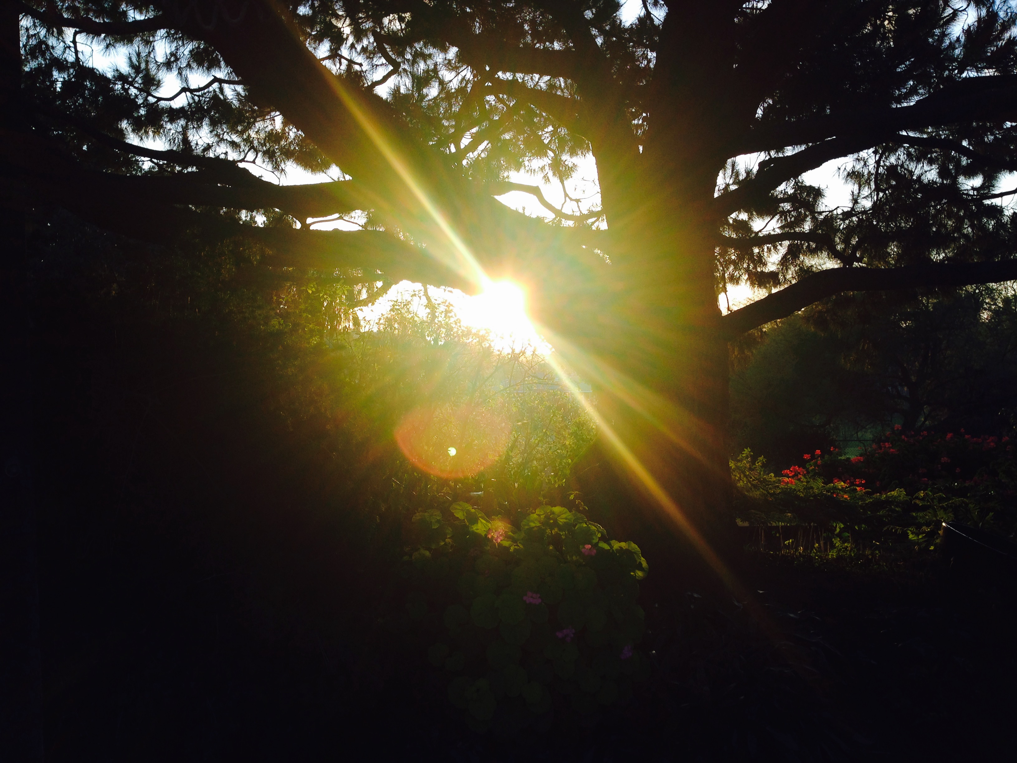 6C787BB9-53BC-431C-BDB3-AD9F35A4AED3