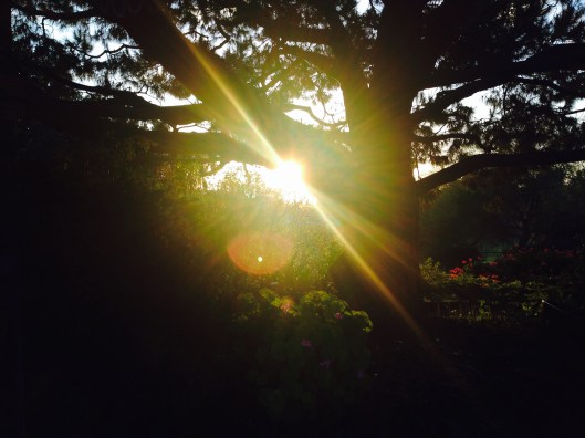 6C787BB9-53BC-431C-BDB3-AD9F35A4AED3