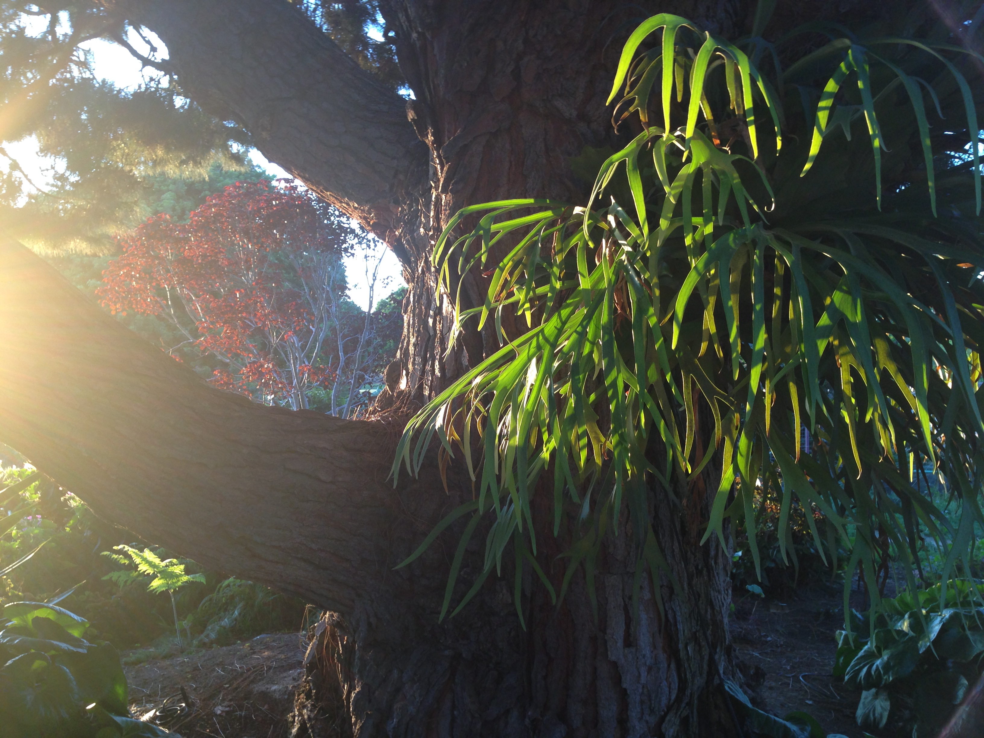 76FA50AD-5BEC-44D4-B353-D8CCC66FECD2