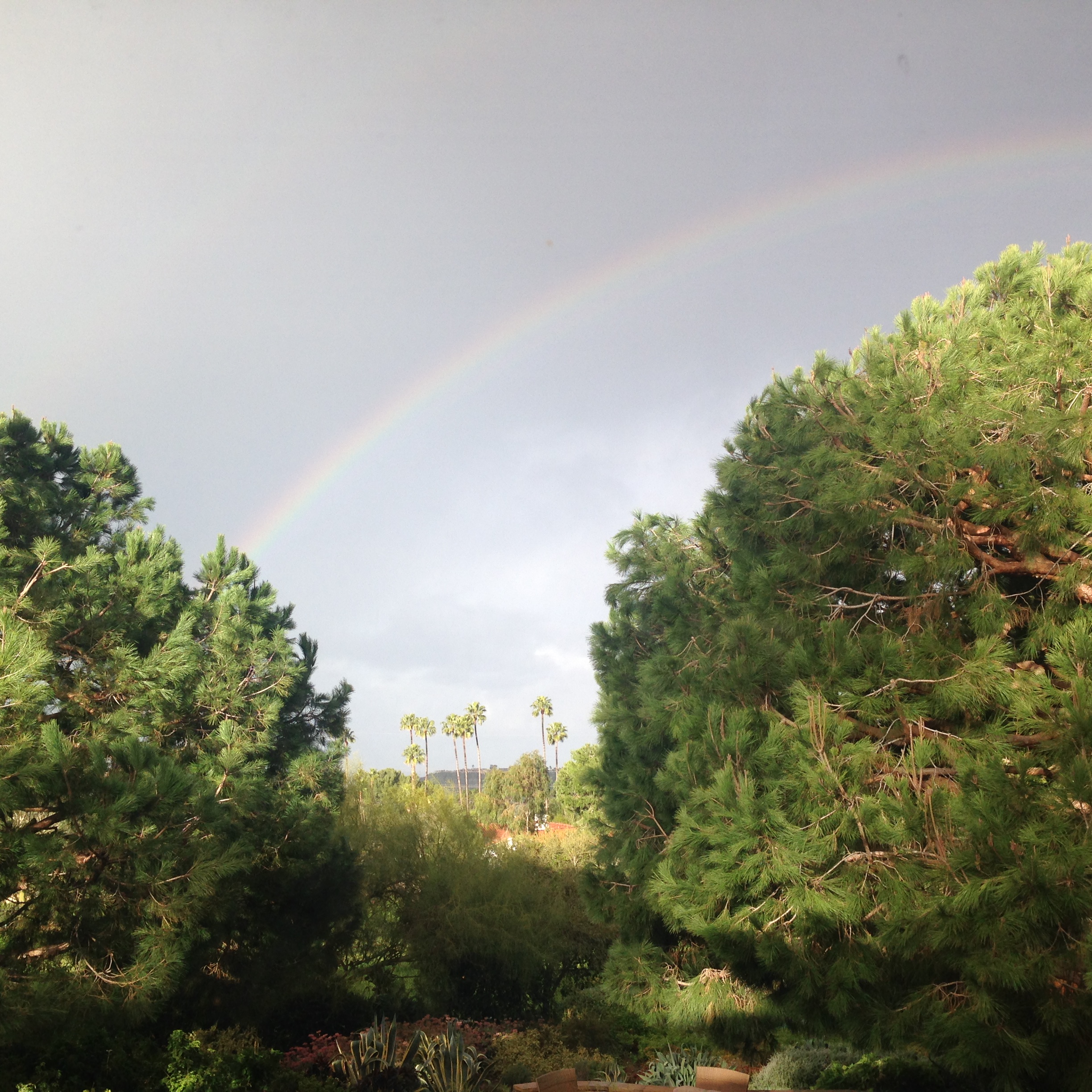 95C601BA-DFA0-4F54-9E6E-EDD83BEDC48D