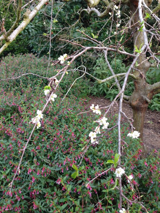 CAC8B9BD-6155-4D8B-9213-2B5AE94AABE9