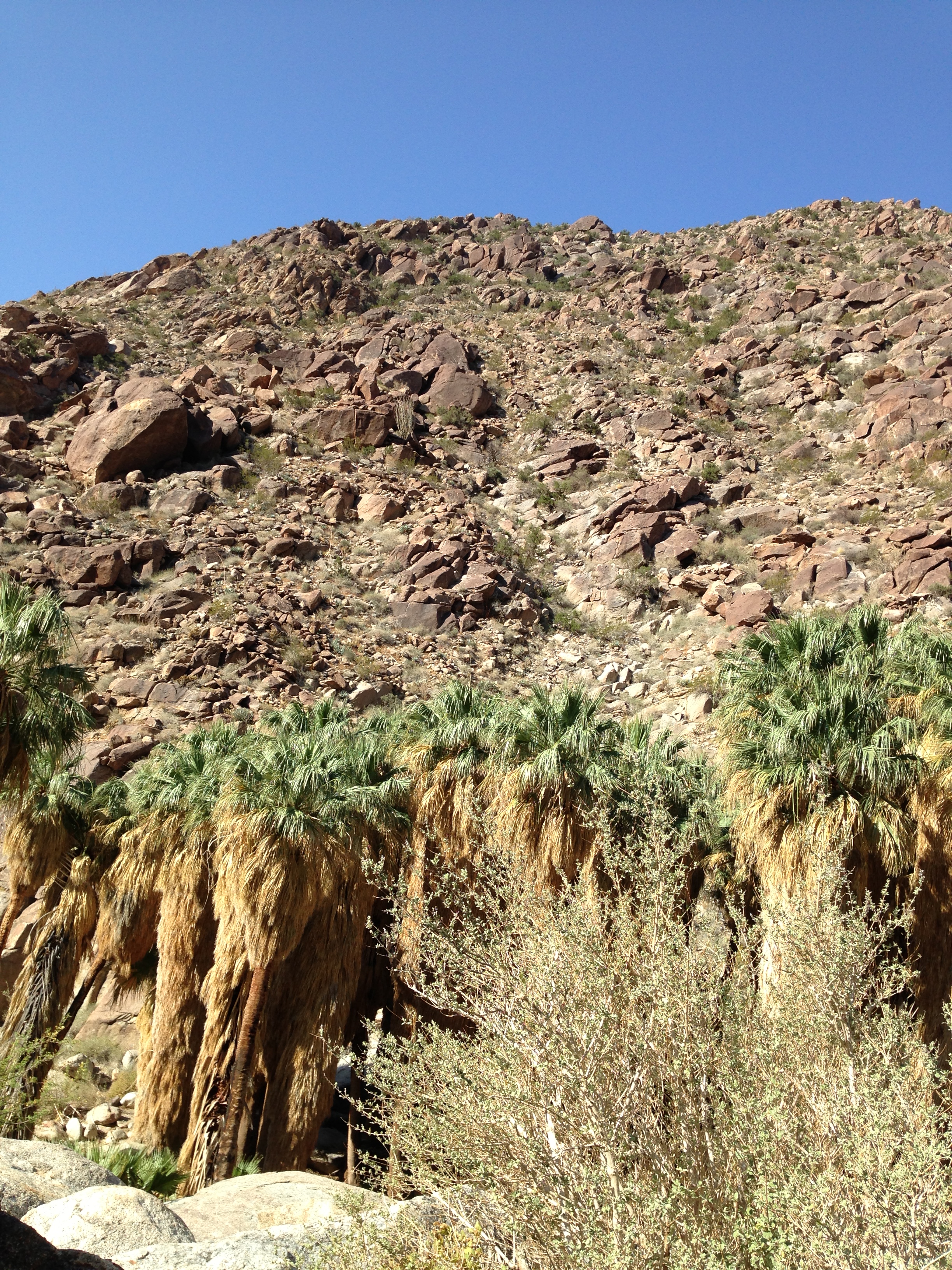 E28F293B-71DA-48D6-BF86-0396BD1009AE