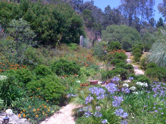 iPhoneDownloadJan152013 697