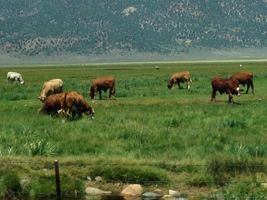 1E12DBD6-3F3D-465E-890C-D78AC3EF5CE9