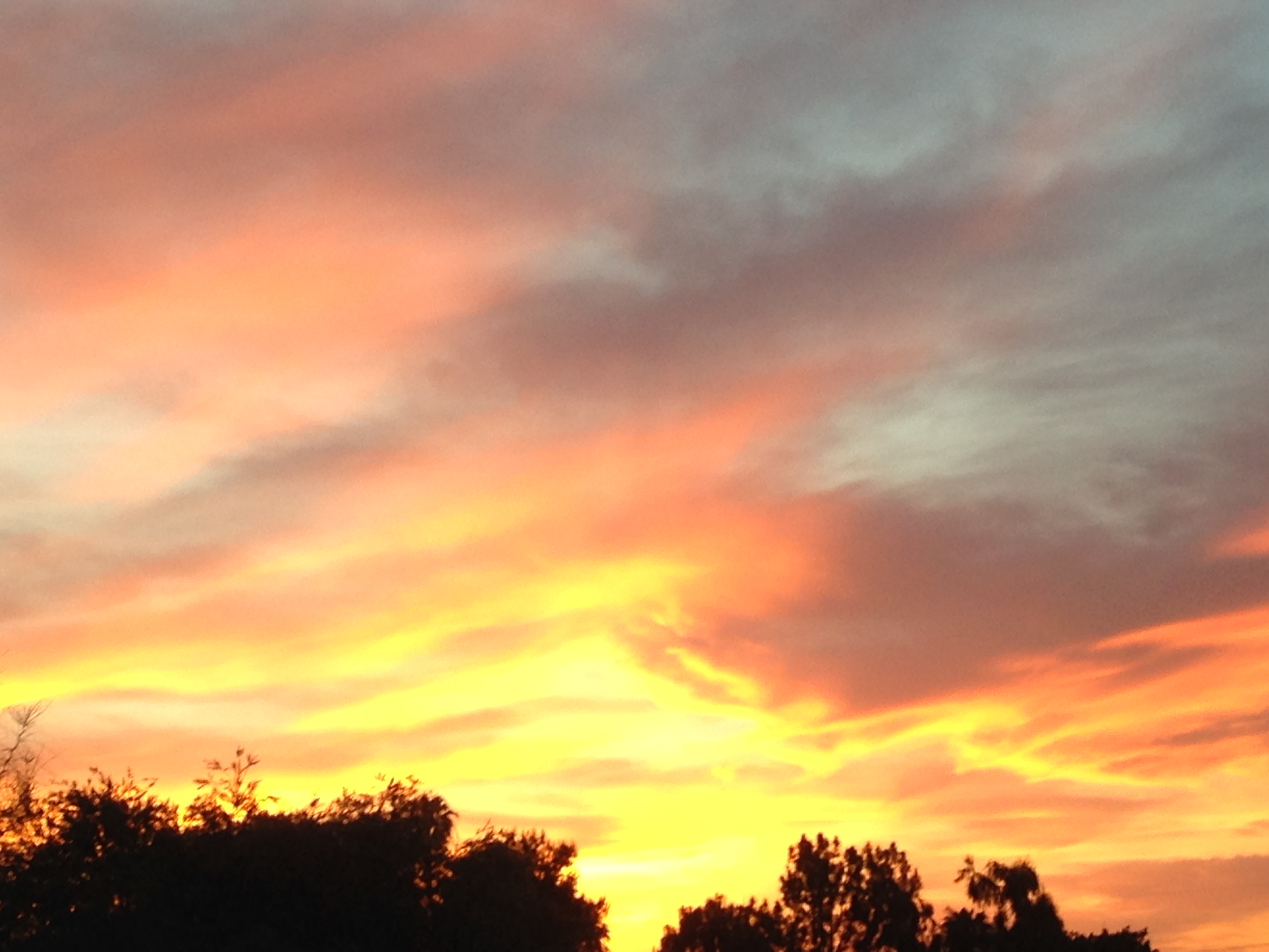 70E2D770-2B7A-4D5D-B322-D499FD6785AC