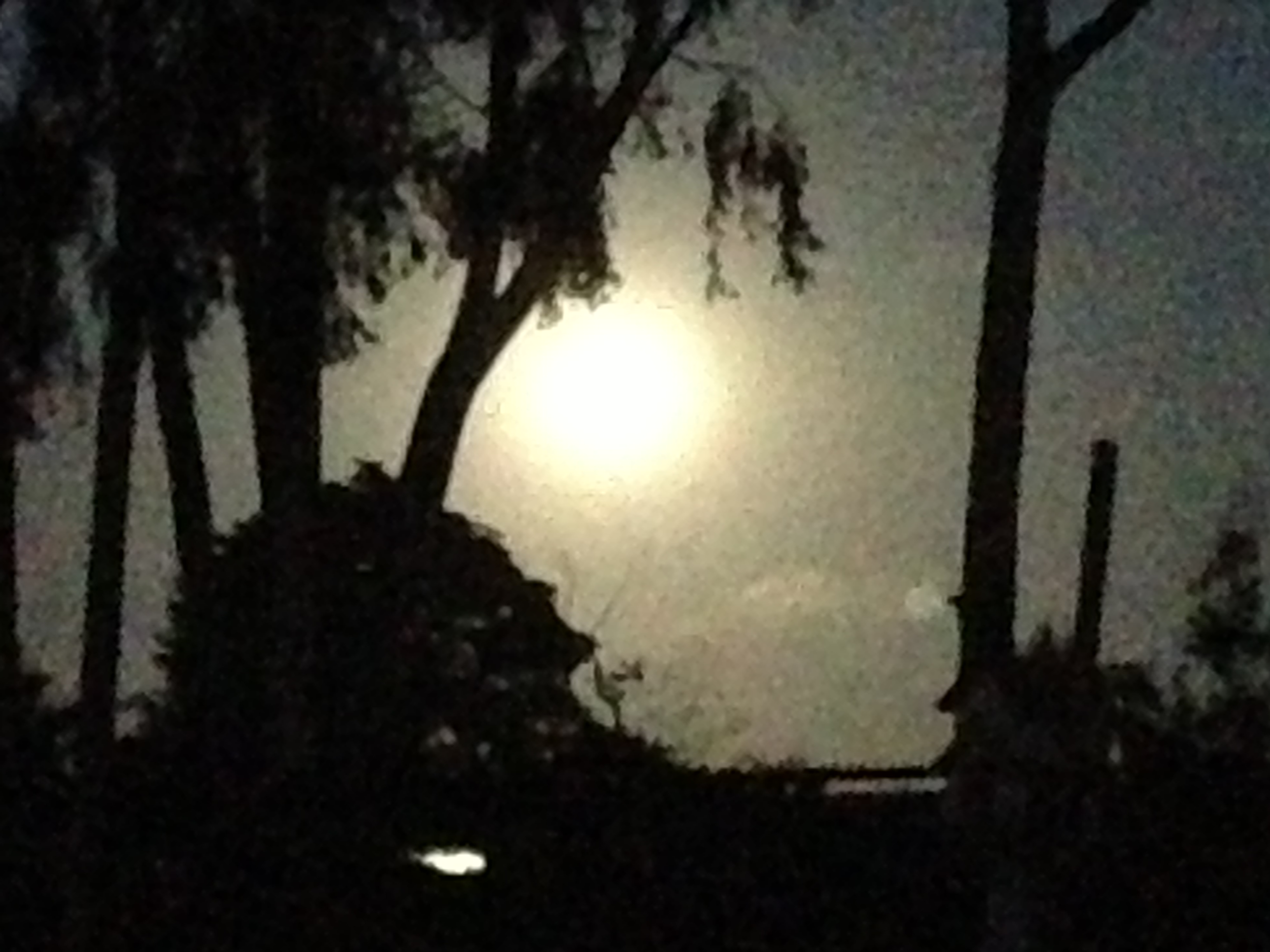 80B4784C-9B78-4B8E-BBB9-BF223F46234C