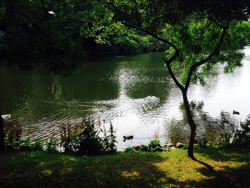 981ABFE1-F37E-474C-8D2C-B4E38508ECEA