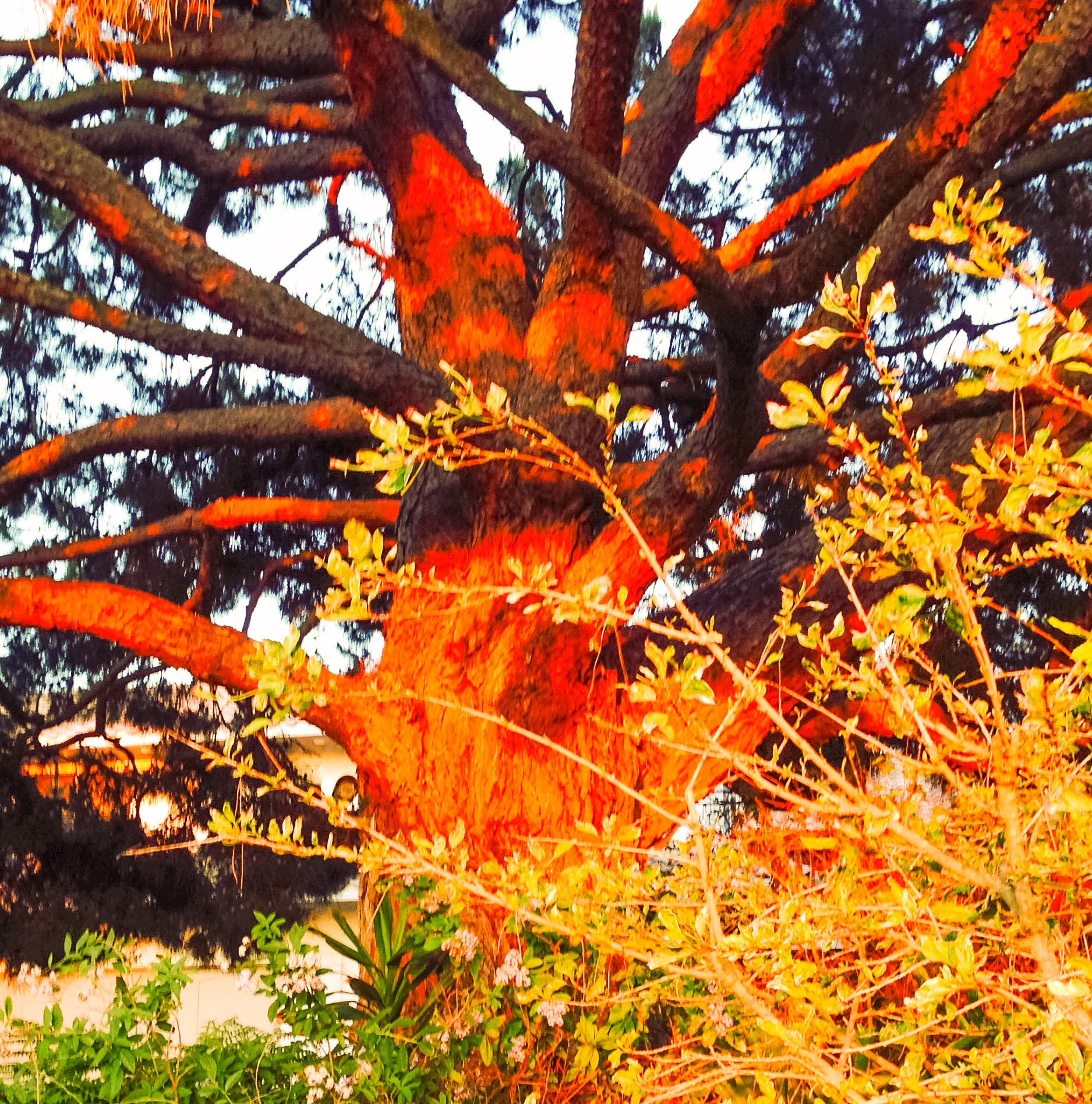 BB5C9D28-2E09-4A42-AA68-DB63C8A0B72E