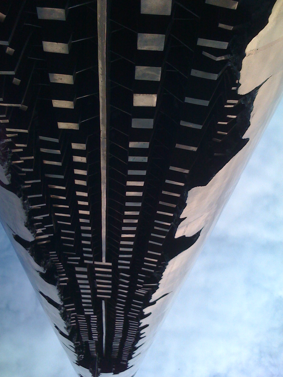 PicturesfromiPhone2 070