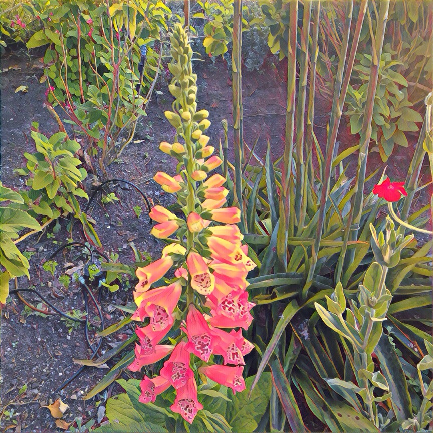 1916207E-AB02-49E6-8BA8-2DD6B5FBBBAE