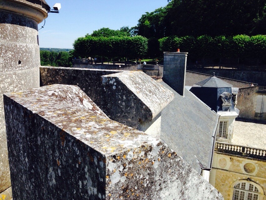 1D7E4F0C-4489-4E1C-8494-A3591EA5A295