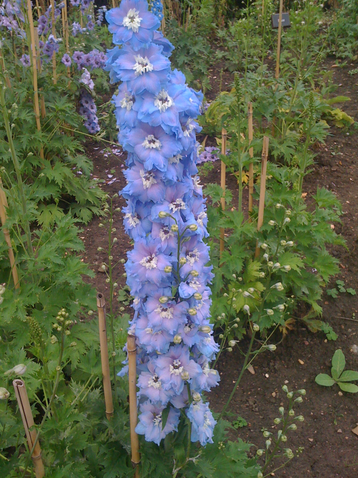 2B367736-ADF2-4730-A2D7-F76951E03CCA