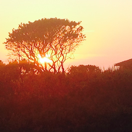 50374E71-D428-4B69-A902-F8C58AD5CCBE