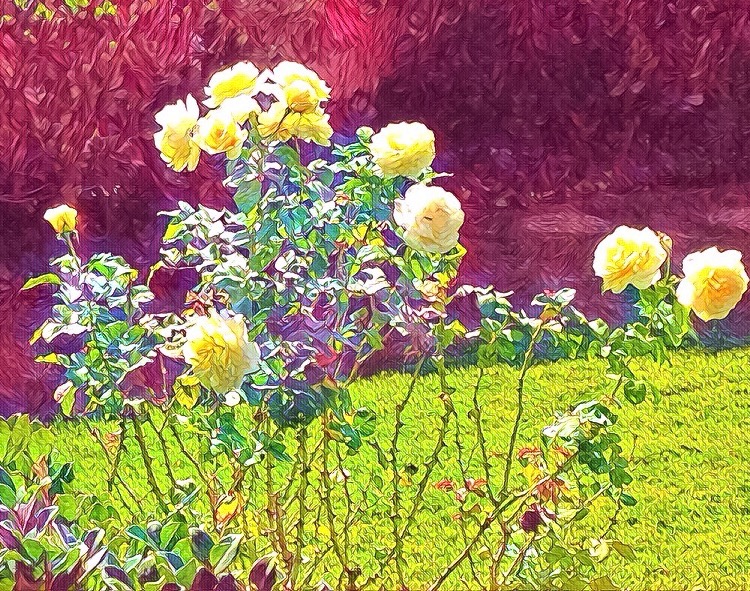 44F0D442-87A3-4742-8CD1-6209327BC615