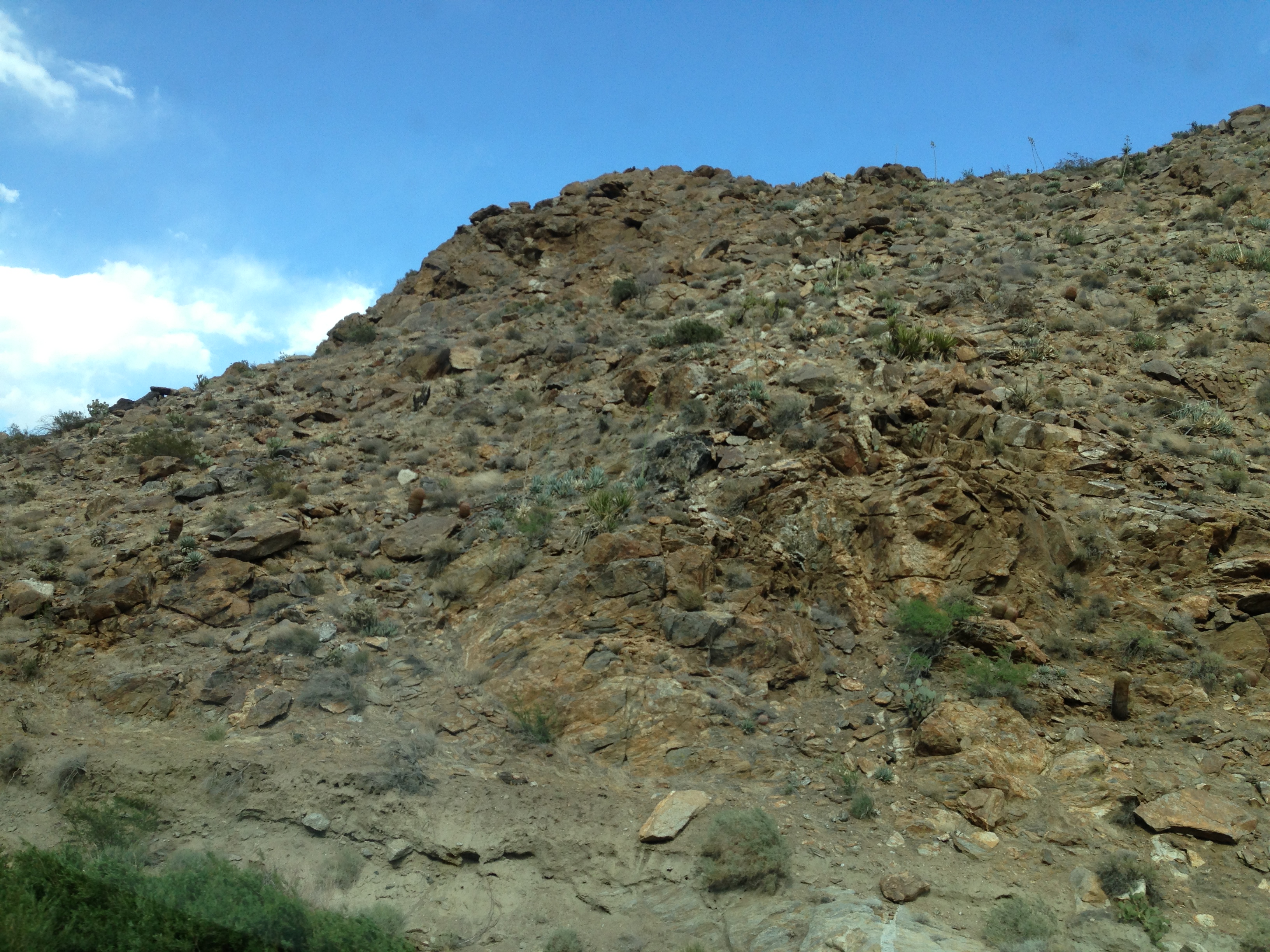 60BBE396-CC08-43F0-BB72-B2CA37D7B5FC