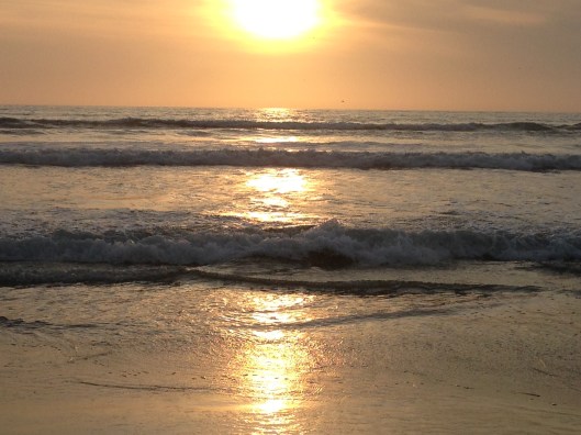 528764FA-7EC9-41BB-8E1C-F3A369068CB1