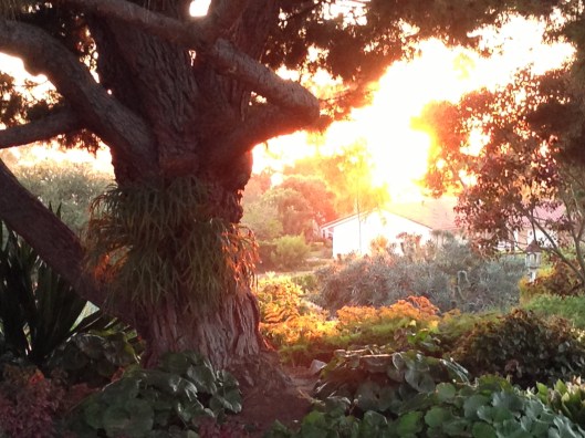 AB05D882-2FE2-4057-B866-4E51848DBB0F