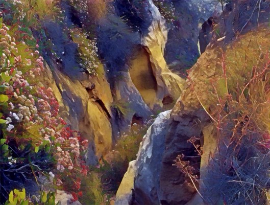 10552CE1-44CC-4FEB-8973-0E7F4500CF87_1_105_c