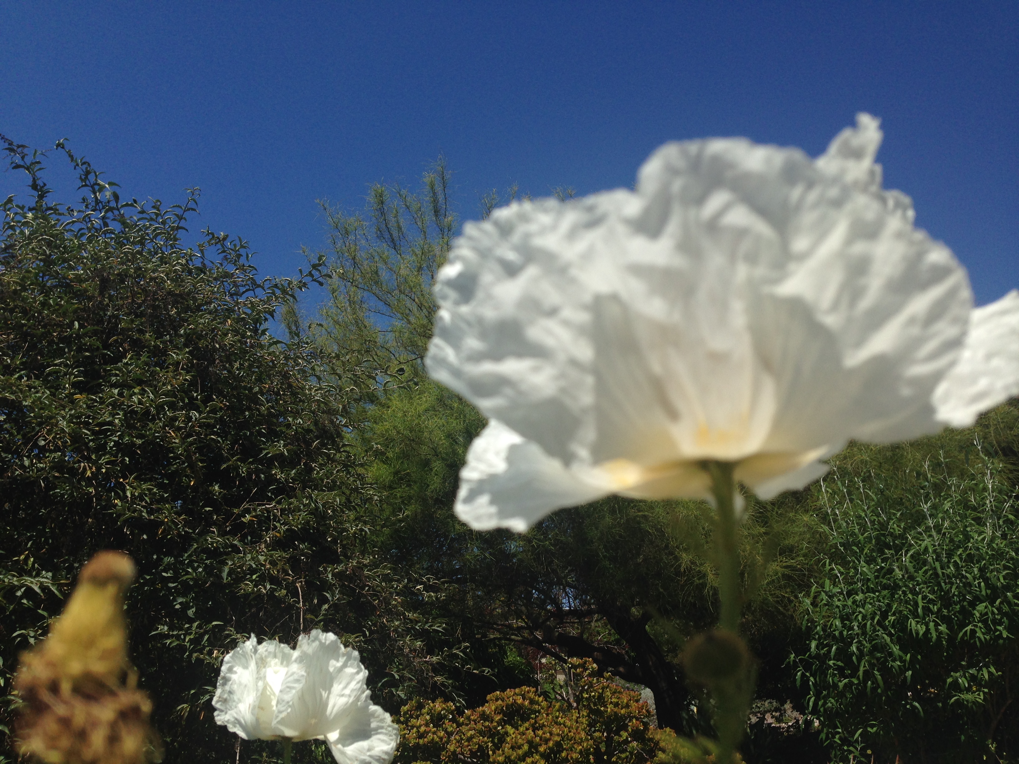 4B401802-6B11-4E36-A6F8-54E54456F066