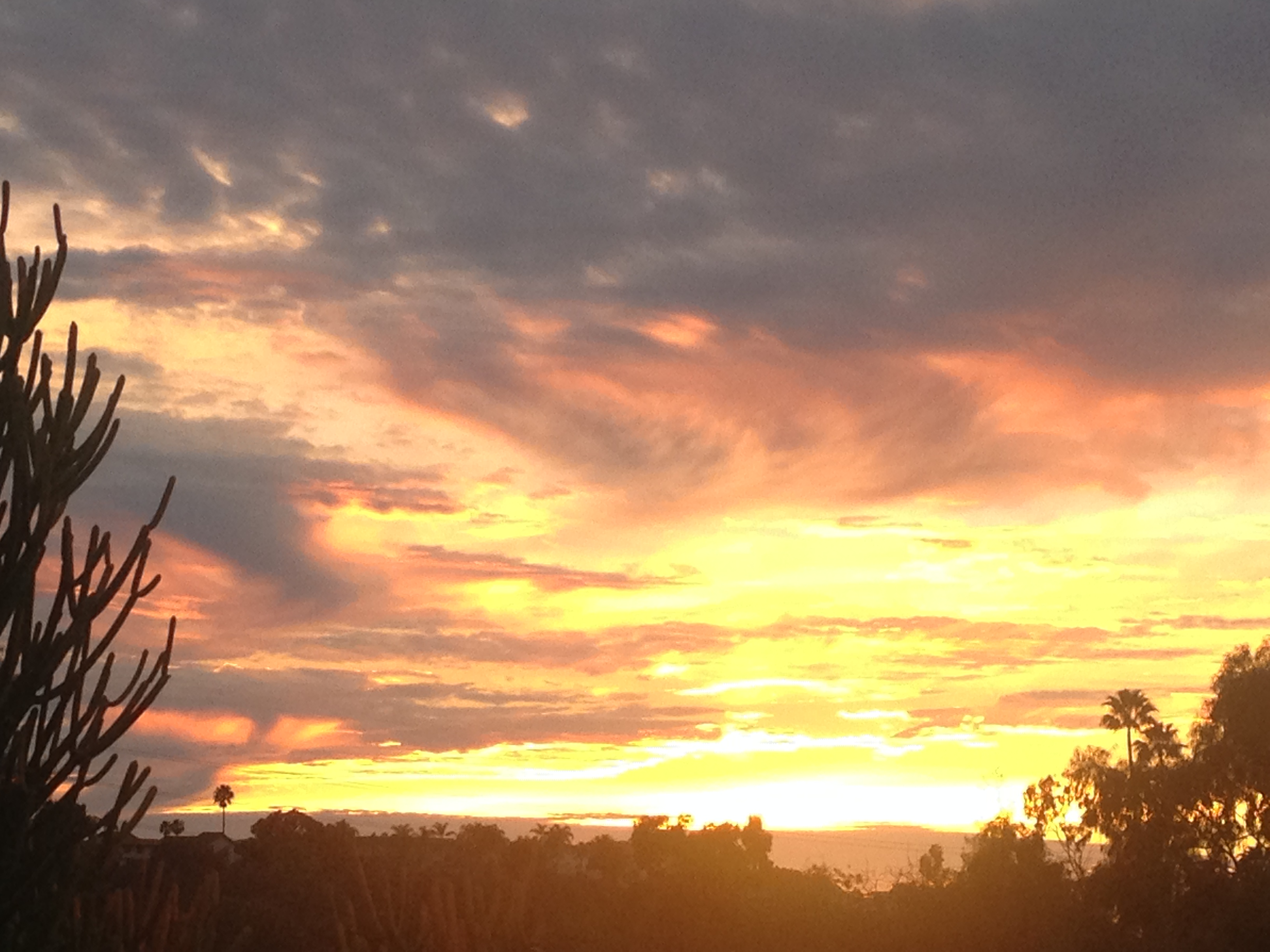 5EA20EE6-6F23-4ACD-8831-58A93737B8F8