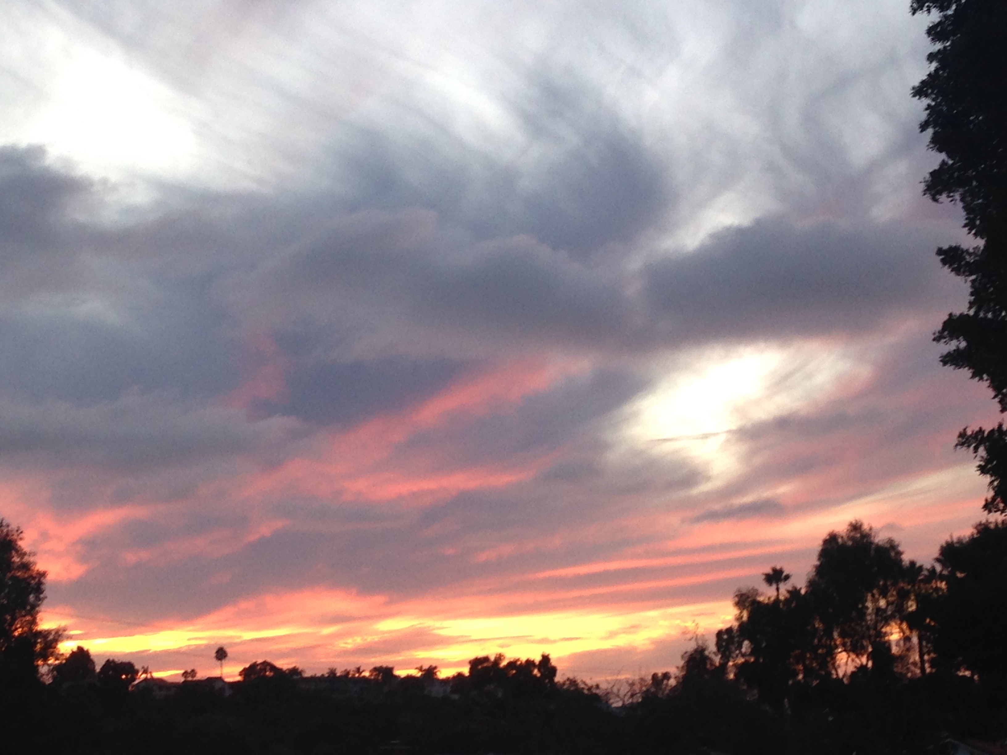 6C9A5601-6738-4770-88A8-C3249F9F2460