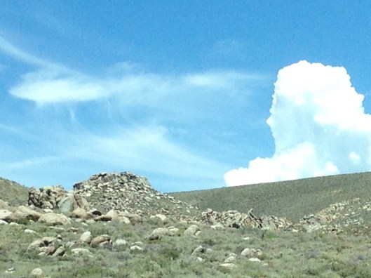 1A559AF5-59A6-4D1E-929D-B09054B43A89