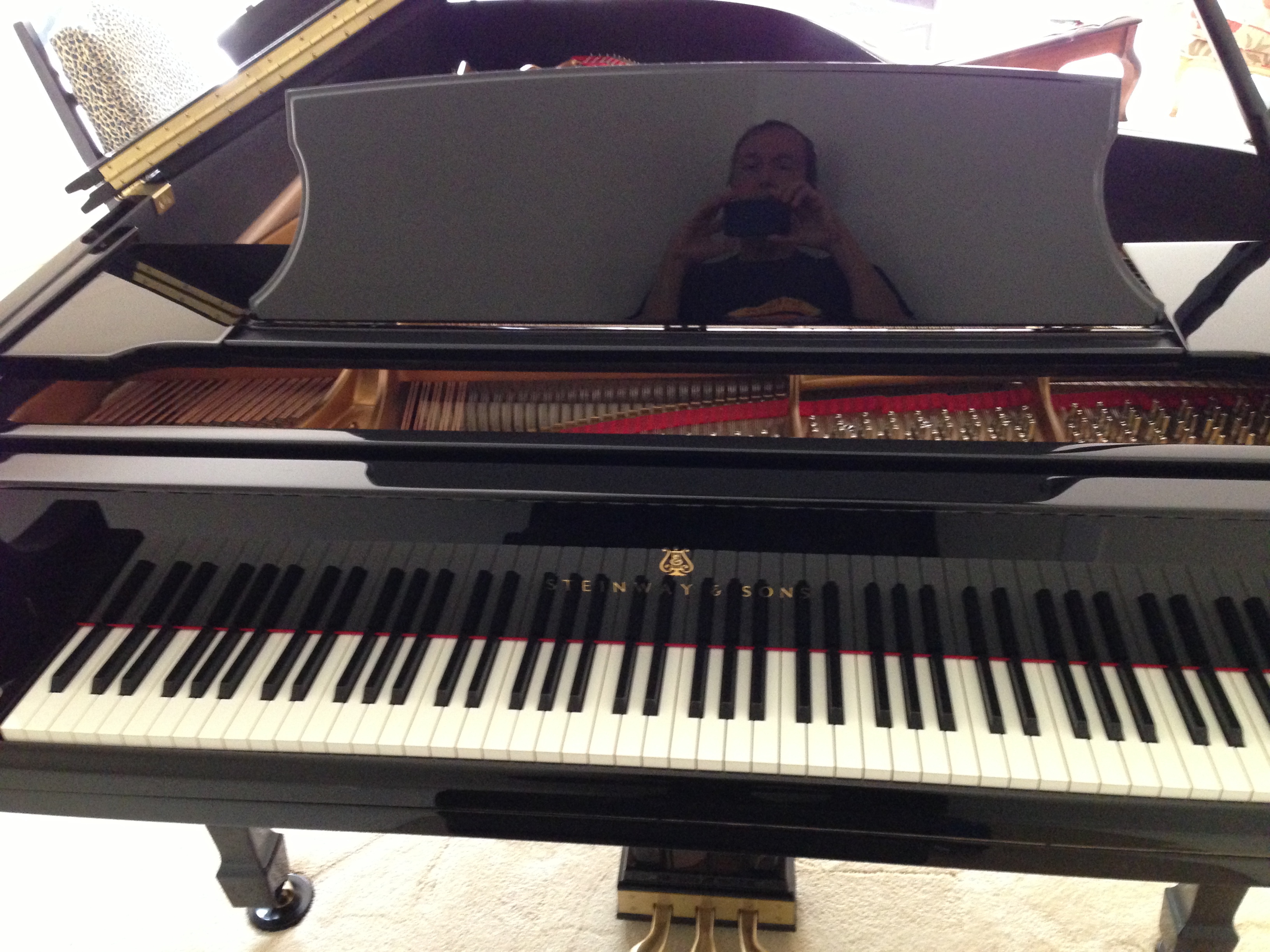 4299C386-2C7D-4F31-88D3-E84AFE551465