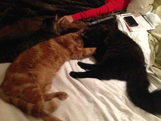 A9BEF067-4F4A-43CB-8D03-4984AB1FD0AB