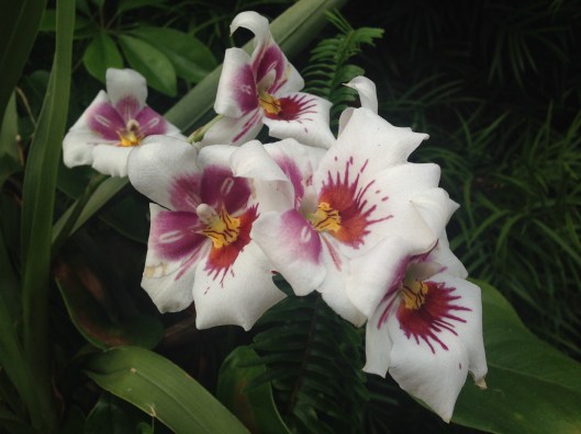 BDAD5D7D-3543-4705-9A06-7CD7659129E4