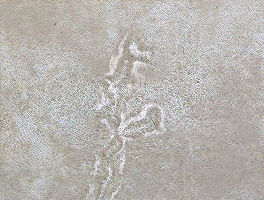 5681B71D-149C-4697-9362-6FB654029ADE_1_105_c