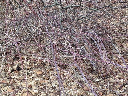 606141EF-A185-4D60-A8ED-FEBE898DEBA2