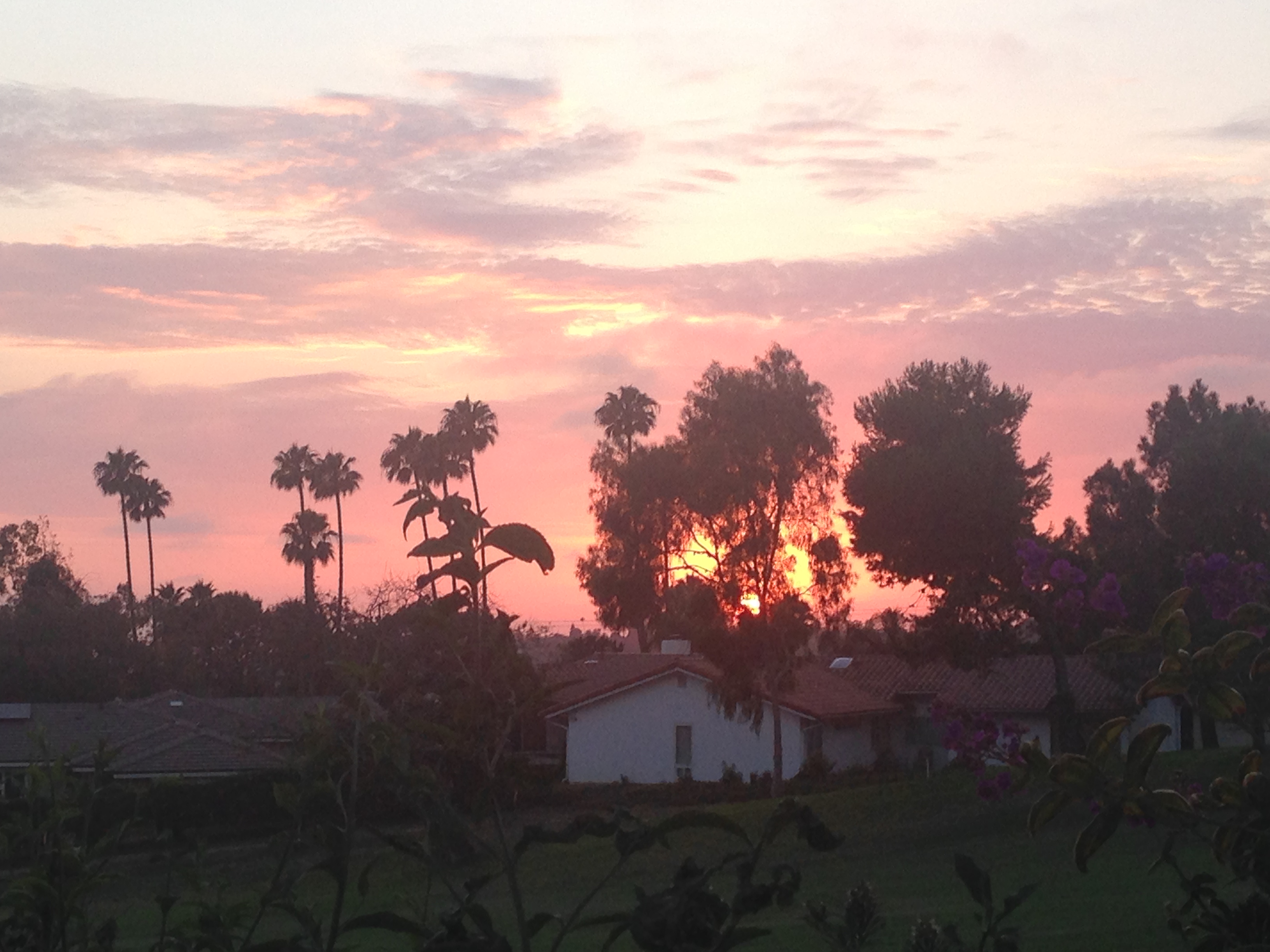 BF8B251B-9BD3-46BC-899C-35F77188D0F6