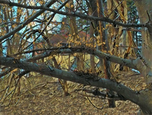 193BB35E-89DA-41F1-9A1E-C1C7E0F4052E_1_105_c