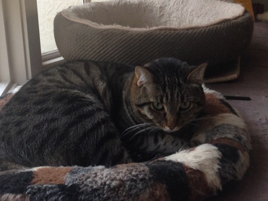 59FF477E-15D8-41D5-B3E1-15B41F02735C